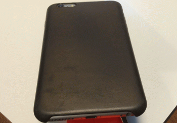 casepic1.gif