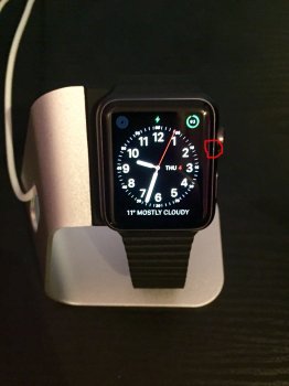 IMG_0064.jpg IMG_0064.jpg