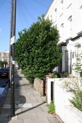 IMG_0122.jpg