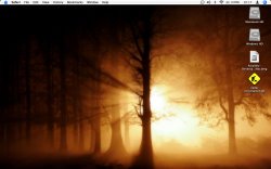 Picture-1.jpg