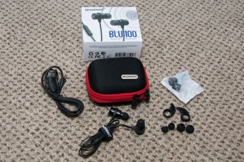 Brainwavz BLU-100 - 1.jpg