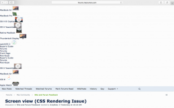 MR CSS Issue .png