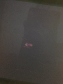 IMG_0727.jpg