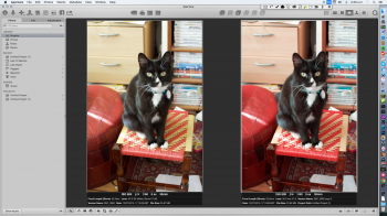 Fullscreen_13_07_2015__02_46.png