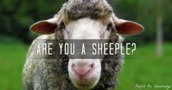 are-you-a-sheeple.jpg