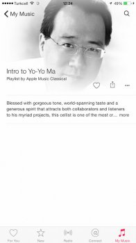 apple music playlist on iphone.jpg