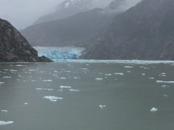 IMG_1031.JPG