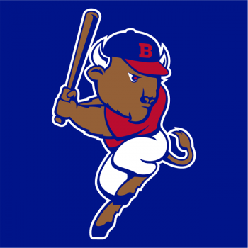 2913_buffalo_bisons-cap-2013.png