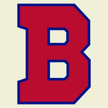 3464_buffalo_bisons-cap-2013.png