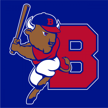 5089_buffalo_bisons-cap-2013.png