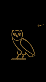 Ovo Owl Nike 1080.png