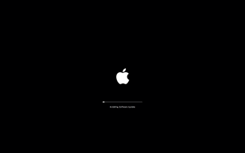El Cap installer.png