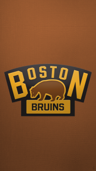 Boston Bruins 02.png