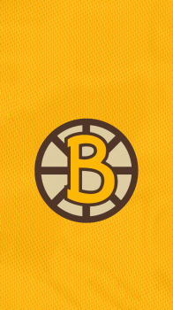 Boston Bruins 02.png