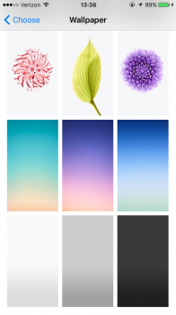 IMG_0395.png