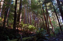 img_D50_0050-2.JPG