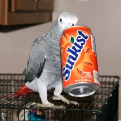 IMG_3963.jpg