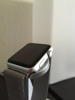 IMG_4260.JPG
