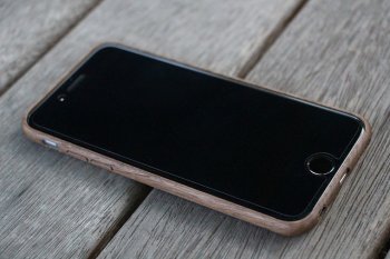 walnut1.jpg