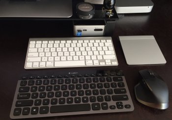 mouse.jpg