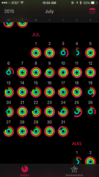 IMG_9804.PNG