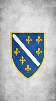 Bosnia Herzegovina.png