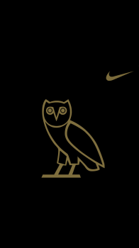 Ovo Owl Nike 1080 black.png