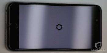 IMG_2252.JPG