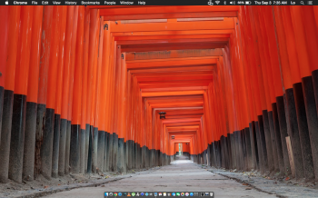 Screen Shot 2015-09-03 at 7.35.12 AM.png