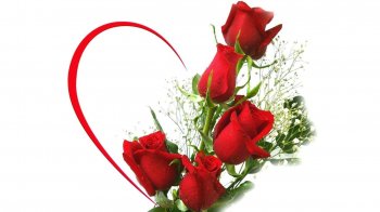 red rose wallpaper.jpg
