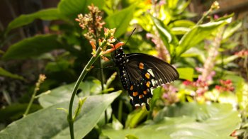 20150812_163520.jpg