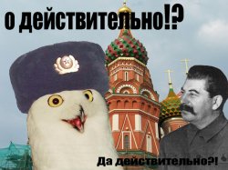 O_ruski.jpg