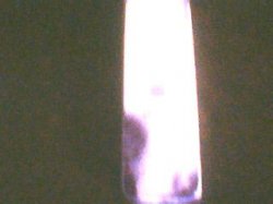 Picture 009.jpg