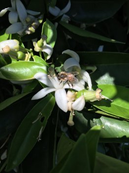 IMG_0059.JPG