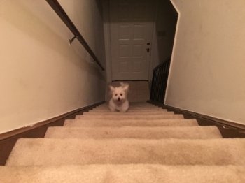 image.jpeg