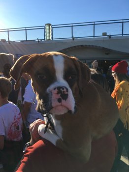 IMG_0193.jpg