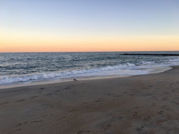 IMG_0229.jpg