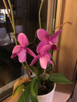 IMG_0034.JPG