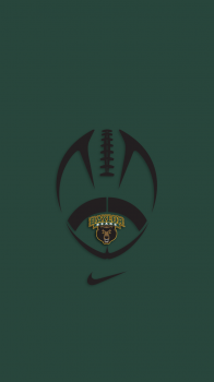 Baylor Bears nike.png