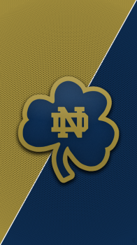 Notre Dame.png