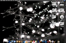 Desktop Pic.jpg