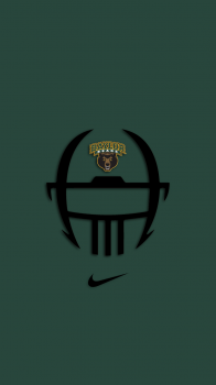 Baylor Bears nike helmet.png