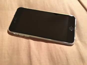 IMG_4727.jpeg