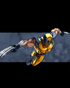 wolverineblackblue.jpg