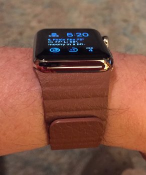 Watch Band.jpg