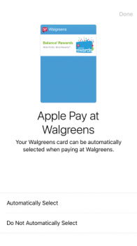 IMG_5502 (Mobile).PNG