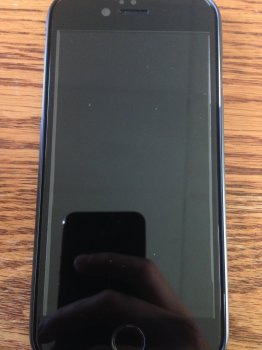 image.jpeg