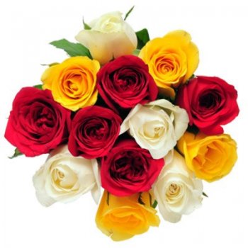 15mixcolourrosesbunch-180x180.jpg