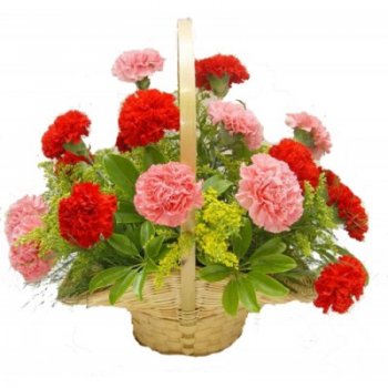 18carnationsbasket-400x400.jpg