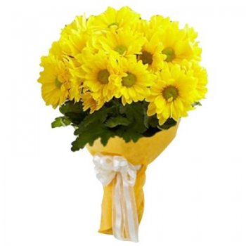 18yellow_gerberasbunch-400x400.jpg